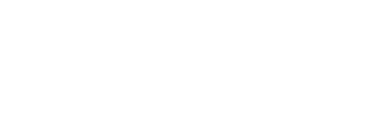 Eleonora Sticoni